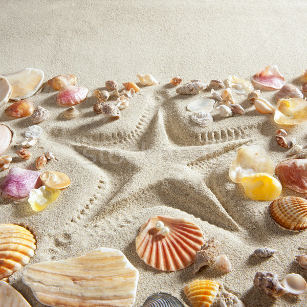 Tengerpart fehér homok tengeri csillag nyomtatott sok kagyló Stock fotó © lunamarina
