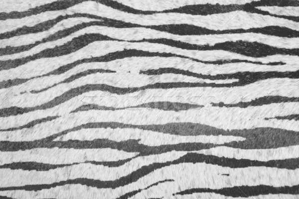 Imitatie zebra leder textuur dier zwart wit Stockfoto © lunamarina