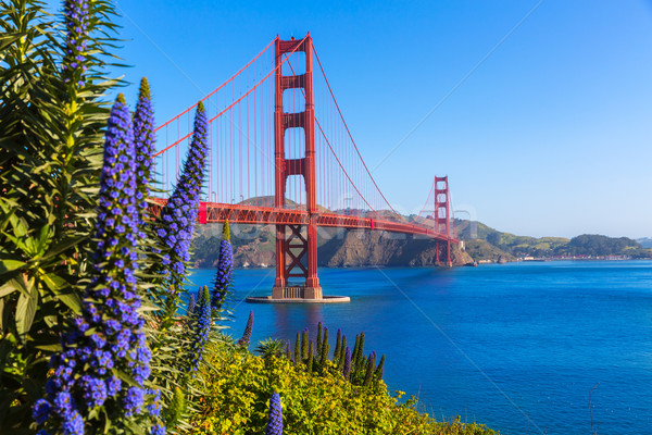 Golden Gate Bridge San Francisco pourpre fleurs Californie ciel [[stock_photo]] © lunamarina