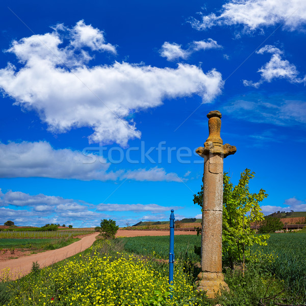 Stock photo: Azofra Saint James Way cross column La Rioja