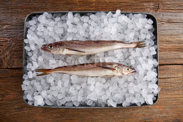 Peixe gelo vista lateral bandeja mesa de madeira água Foto stock © lunamarina