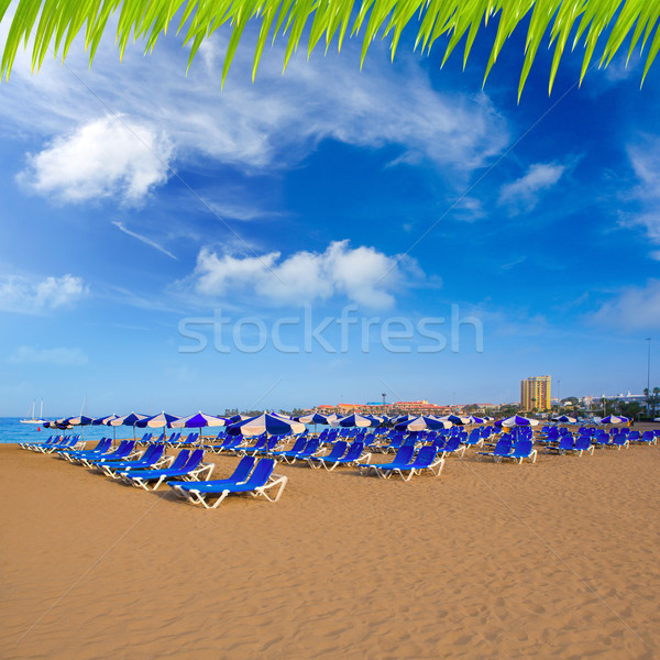 Stockfoto: Strand · tenerife · zuiden · kust · natuur