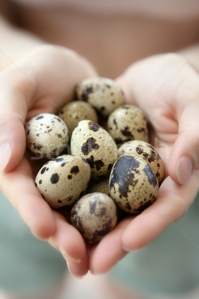 Frau Hände halten fragile Eier neu geboren Stock foto © lunamarina