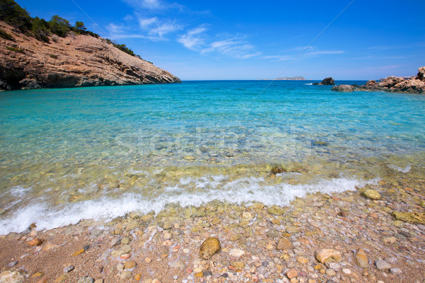 Ibiza Cala Moli beach with clear water in Balearics Stock photo © lunamarina