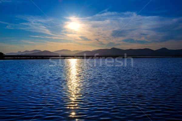 Ibiza ses Salines saltworks at sunset in Sant Josep Stock photo © lunamarina