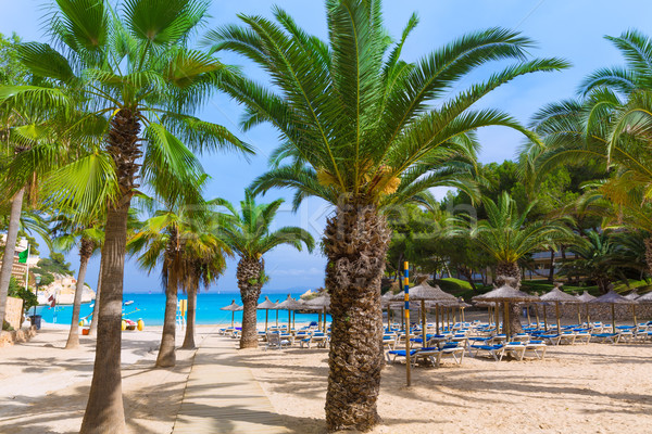 Mallorca Cala Vinyes Vinas beach Calvia Mallorca Stock photo © lunamarina