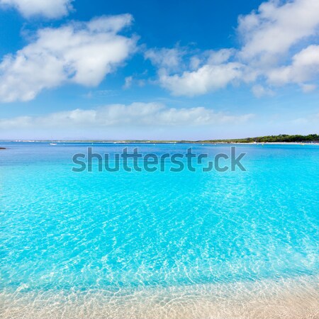 Mallorca Marques beach Es Trenc Estany Estanque Stock photo © lunamarina