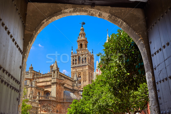 Seville cathedral Giralda tower from Alcazar Stock photo © lunamarina
