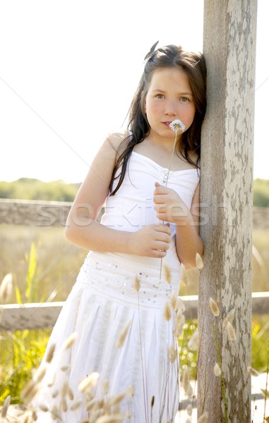 Girl at the park playing with flower spike Stock photo © lunamarina