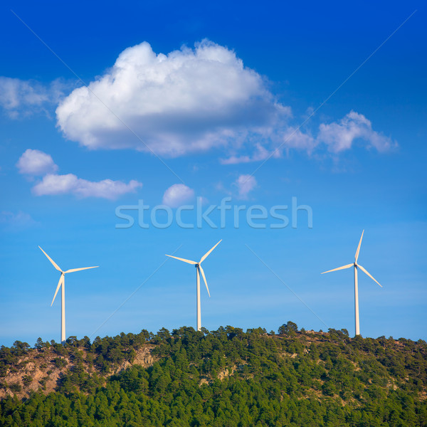 Aerogenerator windmills in the mountain top Stock photo © lunamarina