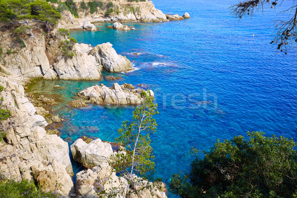 Costa Brava Lloret de Mar beach Camins de Ronda Stock photo © lunamarina