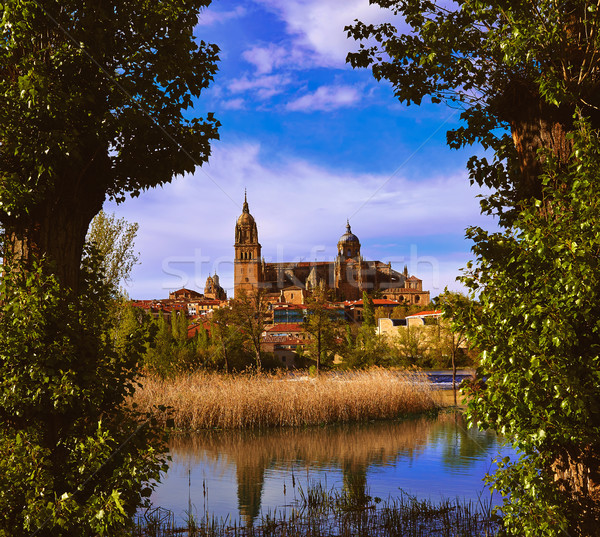 Salamanca skyline with Tormes river Spain Stock photo © lunamarina