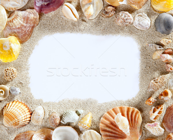 Stock photo: border frame summer beach shell blank copy space