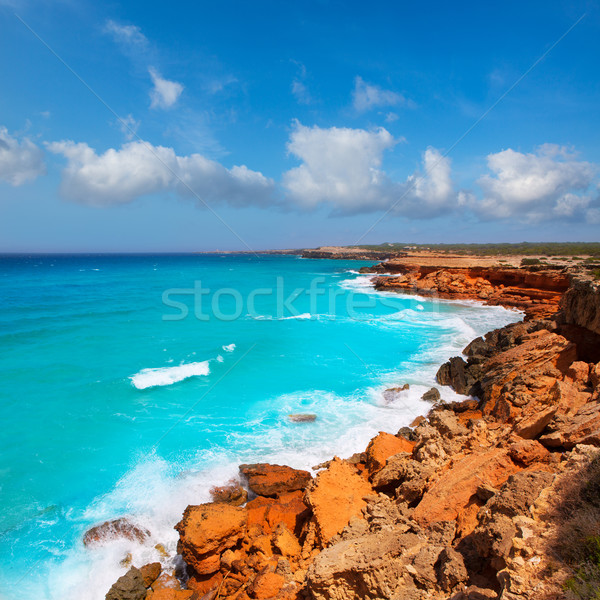 Cala Saona coast with turquoise rough Mediterranean Stock photo © lunamarina