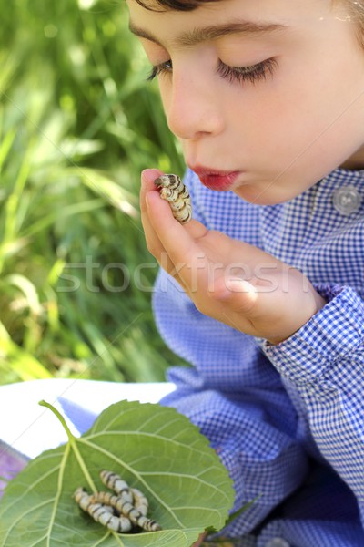 little girl palying with silkworm in hands Stock photo © lunamarina