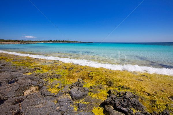 Menorca Son Saura beach in Ciutadella turquoise Balearic Stock photo © lunamarina