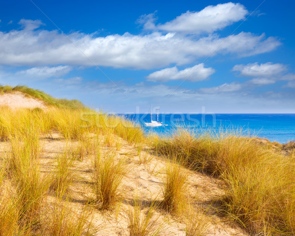 Majorca Cala Mesquida beach in Mallorca Balearic Stock photo © lunamarina