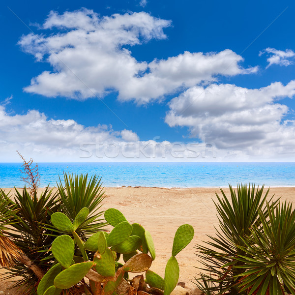Strand Meer Spanien Wolken Hintergrund Stock foto © lunamarina