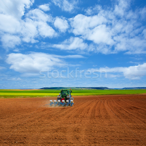 [[stock_photo]]: Céréales · champs · façon · saint · nuages · paysage