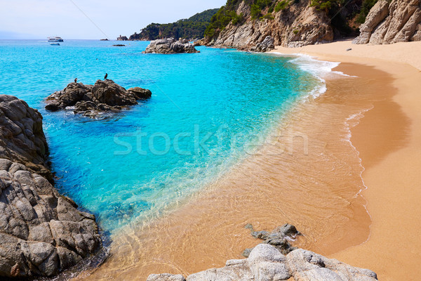 Stock photo: Cala Sa Boadella platja beach in Lloret de Mar