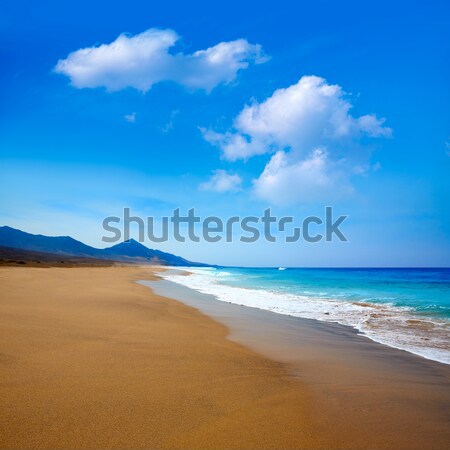 Cofete Fuerteventura beach at Canary Islands Stock photo © lunamarina