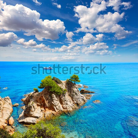 Alcudia Mallorca Playa de S Illot transparent turquoise water Stock photo © lunamarina