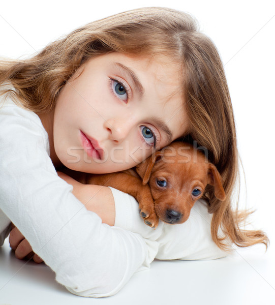 brunette kid girl with mini pinscher pet mascot dog Stock photo © lunamarina