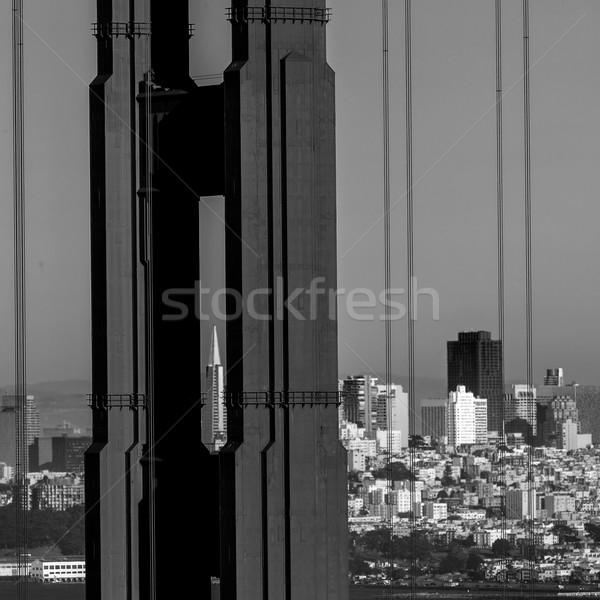 San Francisco Golden Gate Bridge through cables in California Stock photo © lunamarina