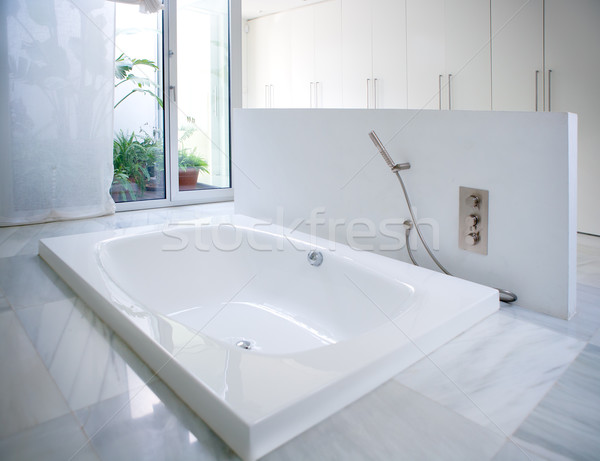 Modern white house bathroom bathtub with courtyard skylight Stock photo © lunamarina