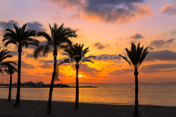 Majorca El Arenal sArenal beach sunset near Palma Stock photo © lunamarina