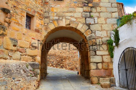 Ainsa medieval romanesque village arch fort door Stock photo © lunamarina