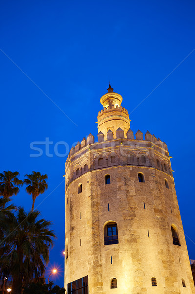 Seville torre del Oro sunset Sevilla Andalusia Stock photo © lunamarina