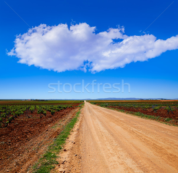 Via de la Plata way Guadiana vineyards Spain Stock photo © lunamarina