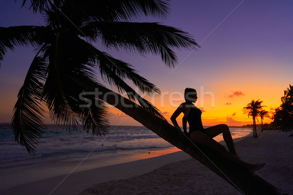 Girl silhouette palm tree Caribbean sunset Stock photo © lunamarina