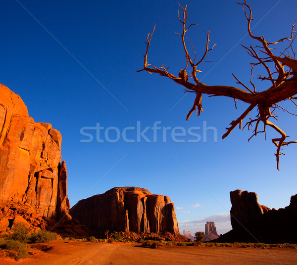 Monument Valley North Window view Utah Stock photo © lunamarina