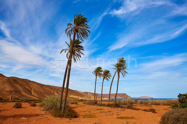 Almeria Cabo de Gata Playazo Rodalquilar beach Stock photo © lunamarina