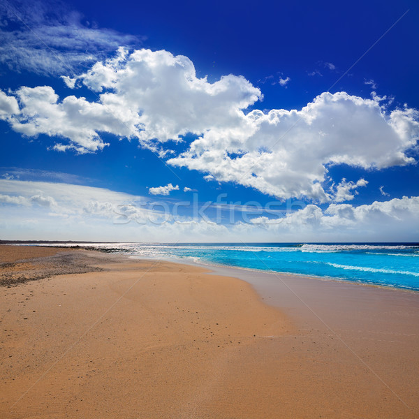 Tengerpart kanári sziget Kanári-szigetek Spanyolország víz Stock fotó © lunamarina