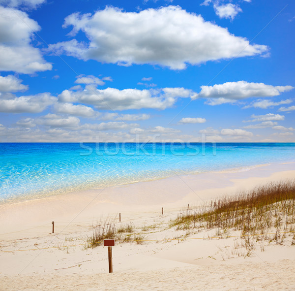 Foto stock: Praia · Flórida · parque · EUA · água · verão