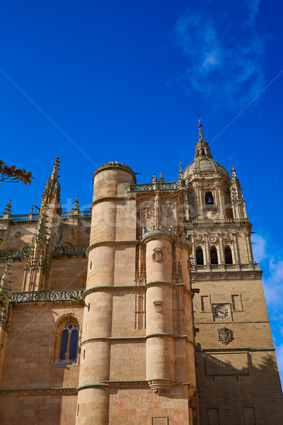 Imagine de stoc: Catedrală · fatada · Spania · la · mod · cer