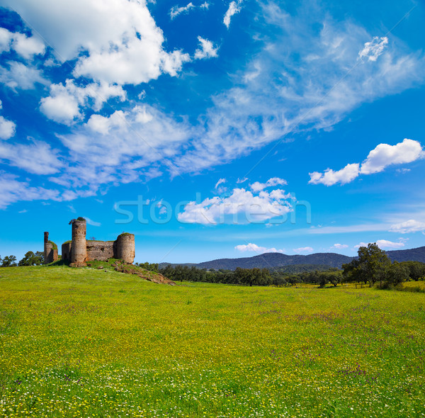 Castillo de las Torres castle by via de la Plata Stock photo © lunamarina