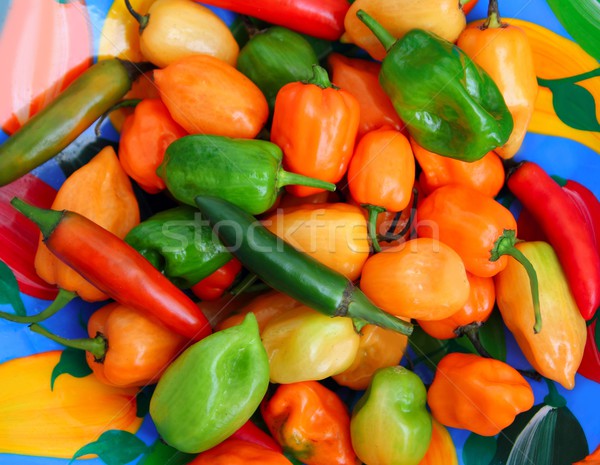 Chili serrano hot mexican papryka kolorowy Zdjęcia stock © lunamarina