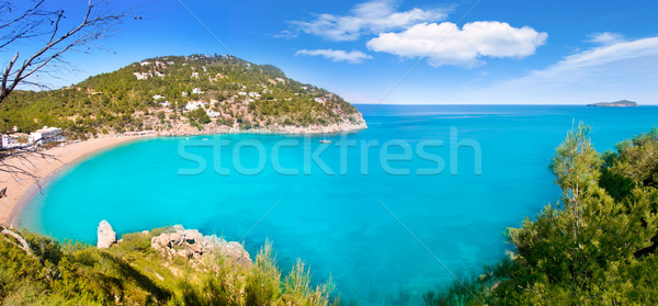 Aerial view of Caleta de Sant Vicent in Ibiza island Stock photo © lunamarina