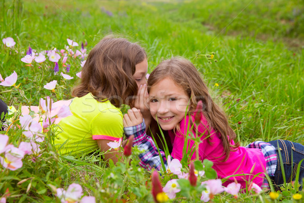 happy twin sister girls playing whispering ear in meadow Stock photo © lunamarina