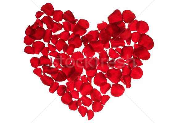 Rood bloemblaadjes hart valentijnsdag bloemen metafoor Stockfoto © lunamarina