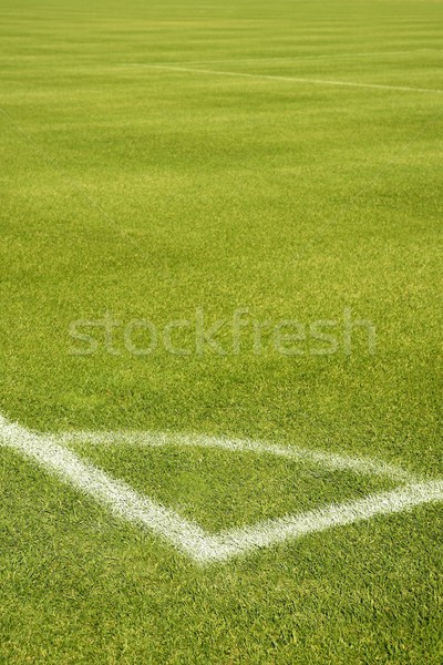 Imagine de stoc: Fotbal · iarba · verde · câmp · colţ · alb · linii