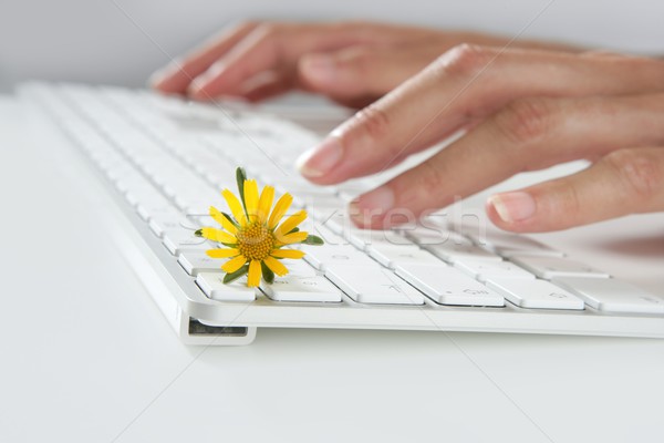 Ecology concept of woman hands typing keyboard Stock photo © lunamarina