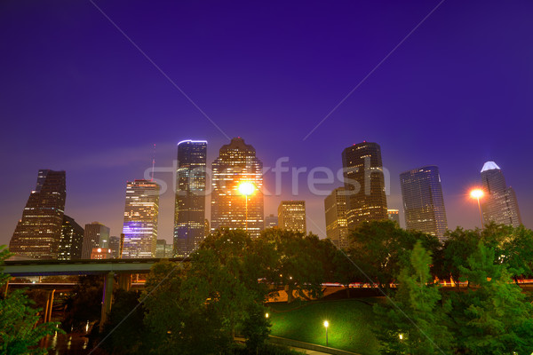 Houston skyline west view sunset Texas US Stock photo © lunamarina