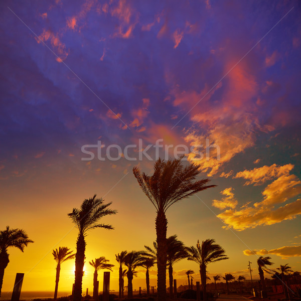 Almeria Cabo de Gata sunset in Retamar beach Stock photo © lunamarina