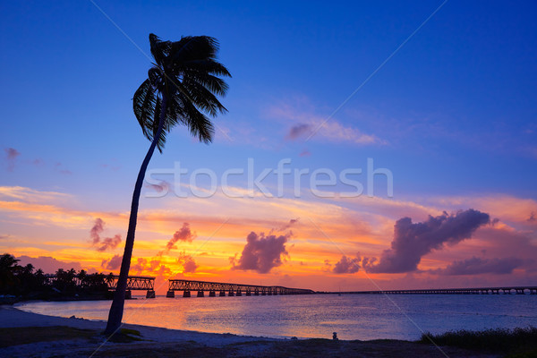 Florida Keys old bridge sunset at Bahia Honda Stock photo © lunamarina