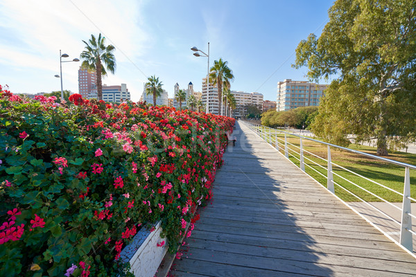 Valencia Puente de las Flores flowers bridge Stock photo © lunamarina